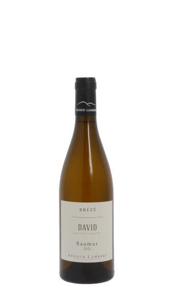 Arnaud Lambert, Clos David 2021 Blanc 75cl
