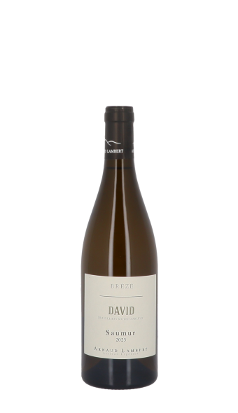 Arnaud Lambert, Clos David 2023 Blanc 75cl