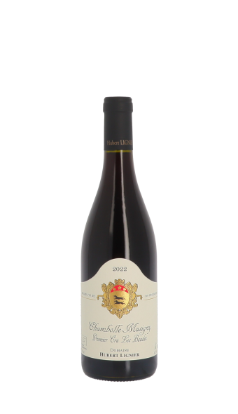 Domaine Hubert Lamy, les Murgers des Dents de Chien 2022 Blanc 75cl