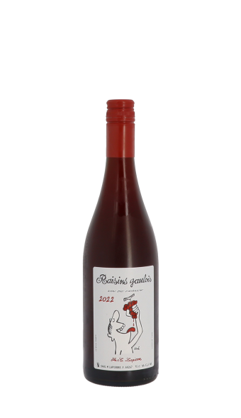 Domaine Marcel Lapierre, Raisins Gaulois 2022 Rouge 75cl