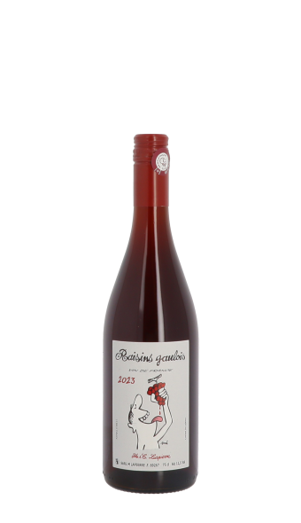 Domaine Marcel Lapierre, Raisins Gaulois 2023 Rouge 75cl