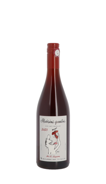 Domaine Marcel Lapierre, Raisins Gaulois 2023 Rouge 75cl