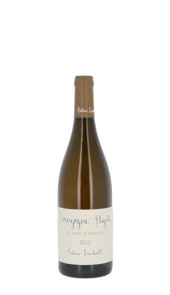 Domaine Antoine Lienhardt, 35 mois d'élevage 2022 Blanc 75cl