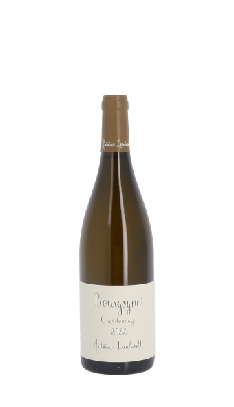 Domaine Antoine Lienhardt 2022 Blanc 75cl