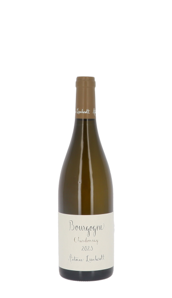 Domaine Antoine Lienhardt 2023 Blanc 75cl