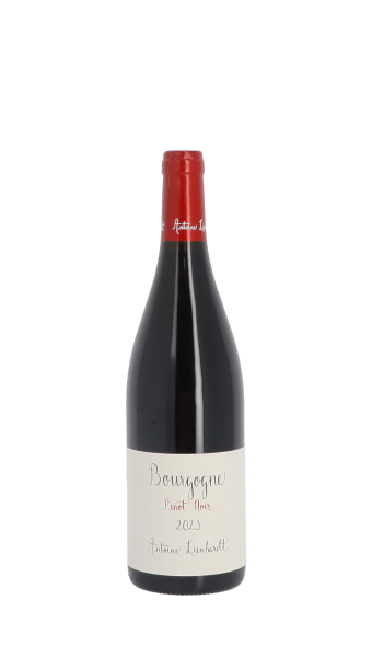 Domaine Antoine Lienhardt 2023 Rouge 75cl