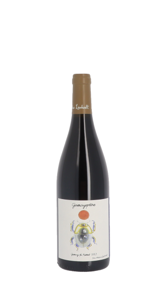Domaine Antoine Lienhardt, Gamayoptère 2023 Rouge 75cl