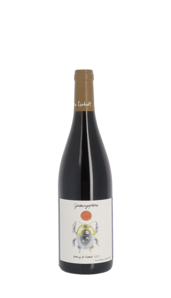 Domaine Antoine Lienhardt, Gamayoptère 2023 Rouge 75cl