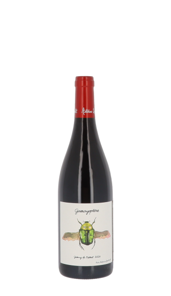 Domaine Antoine Lienhardt, Gamayoptère 2024 Rouge 75cl