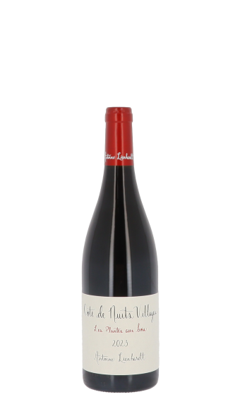 Domaine Antoine Lienhardt 2023 Rouge 75cl