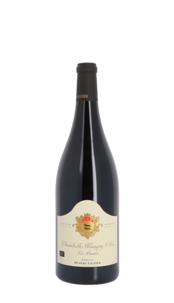 Domaine Hubert Lignier, Les Baudes 2022 Rouge Magnum