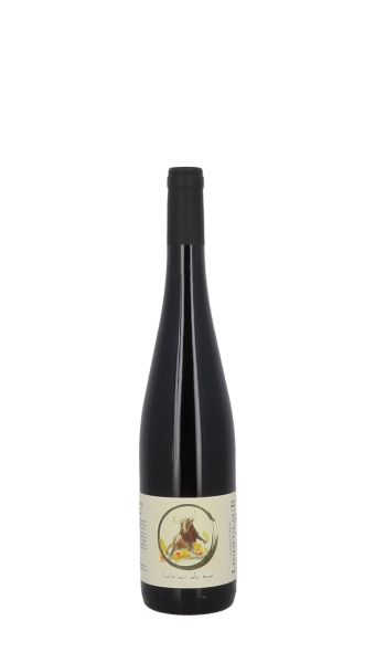 Domaine Christophe Lindenlaub, Un Air du Sud 2024 Rouge 75cl