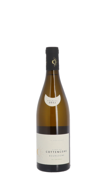 Maxime Cottenceau, Les Verchères 2022 Blanc 75cl