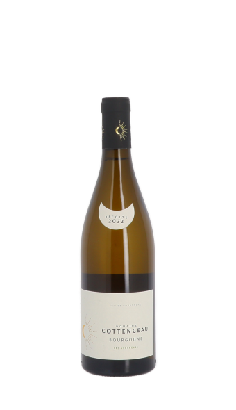 Maxime Cottenceau, Les Verchères 2022 Blanc 75cl