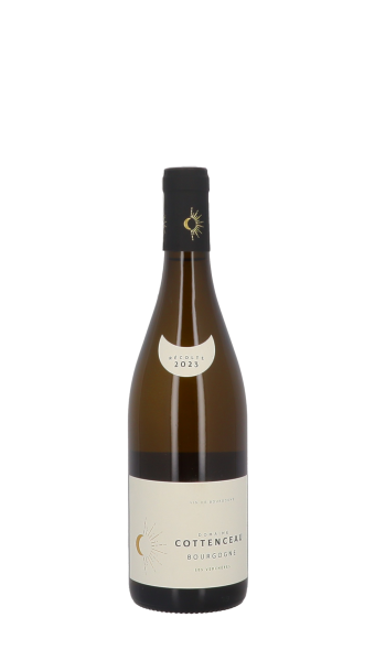 Maxime Cottenceau, Les Verchères 2023 Blanc 75cl