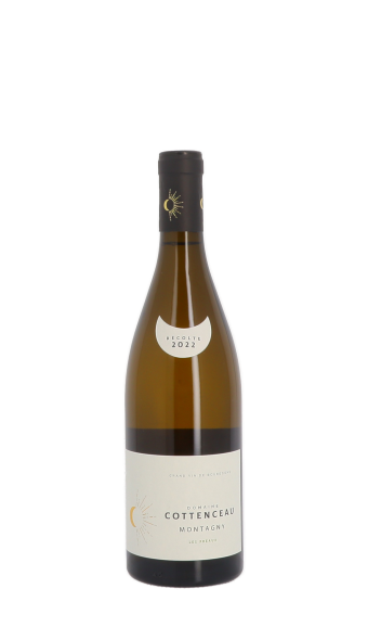 Maxime Cottenceau, Les Préaux 2022 Blanc 75cl