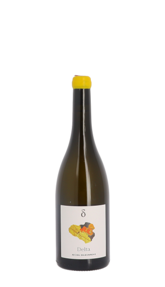 Michel Delhommeau, Delta 2023 Blanc 75cl