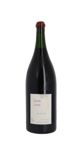 Claire Naudin, Myosotis Arvensis 2022 Rouge Double Magnum