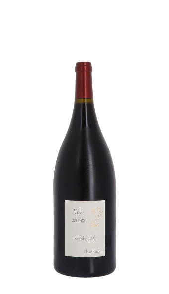 Claire Naudin, Viola odorata 2022 Rouge Magnum