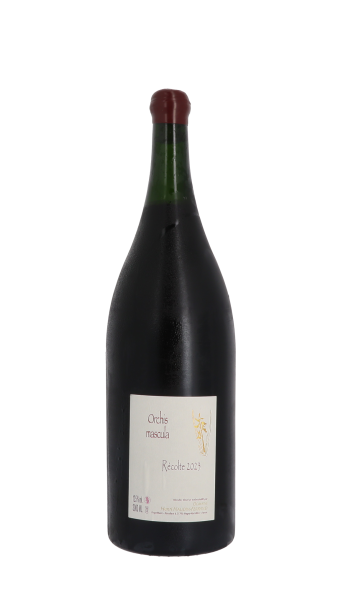 Claire Naudin, Orchis mascula 2023 Rouge Double Magnum