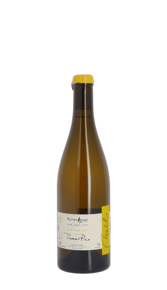 Domaine Pattes Loup, Vent d'Ange 2022 Blanc 75cl