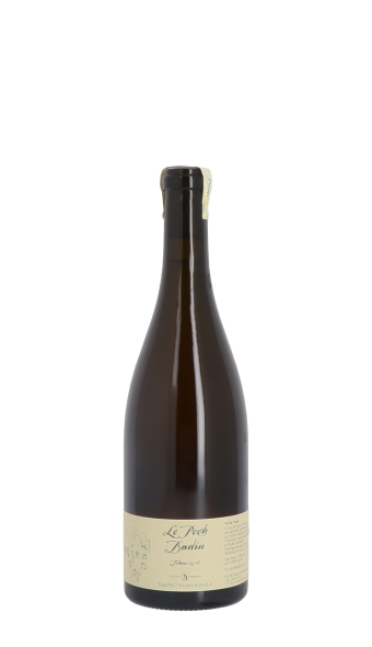 Domaine du Pech, Pech Badin 2016 Blanc 75cl