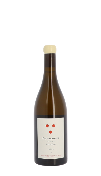 Antoine Lepetit de la Bigne, Jeunes Vignes 2023 Blanc 75cl