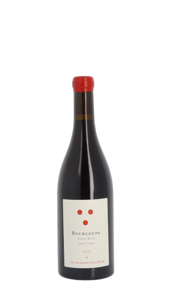 Antoine Lepetit de la Bigne, Jeunes Vignes 2023 Rouge 75cl