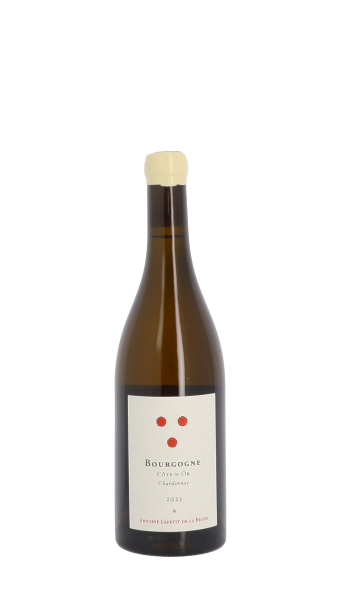 Antoine Lepetit de la Bigne 2023 Blanc 75cl
