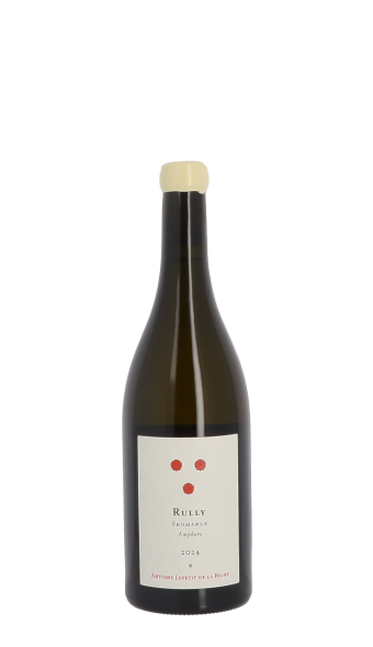 Antoine Lepetit de la Bigne, Fromange Amphore 2024 Blanc 75cl
