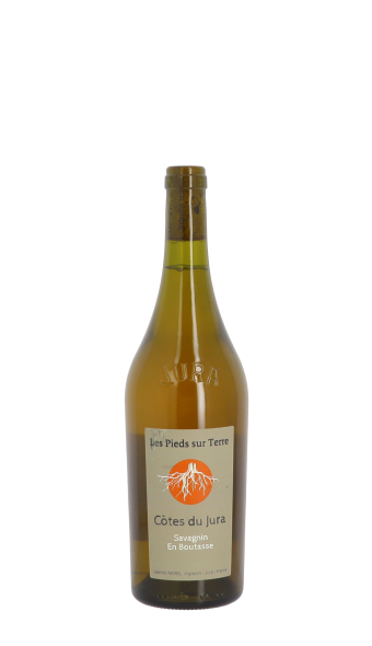 Les Pieds sur Terre En Boutasse Orange 2023 Orange 75cl