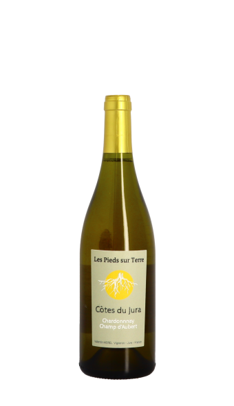 Les Pieds sur Terre, Champ d'Aubert 2020 Blanc 75cl