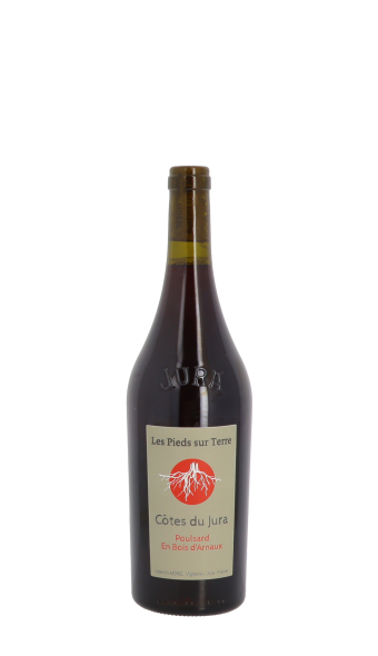 Les Pieds sur Terre, Poulsard En Bois d'Arnaux 2022 Rouge 75cl