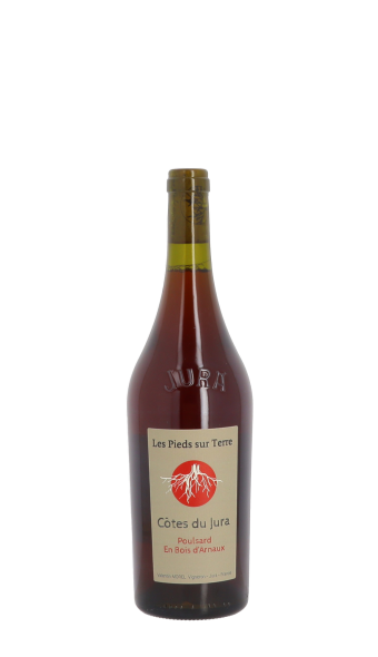 Les Pieds sur Terre, Poulsard En Bois d'Arnaux 2023 Rouge 75cl