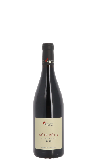 Domaine Pierre-Jean Villa, Fongeant 2023 Rouge 75cl