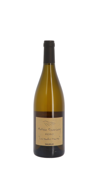 Domaine Antoine Sanzay, Les Salles Martin 2020 Blanc 75cl