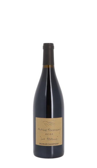 Domaine Antoine Sanzay, La Paterne 2023 Rouge 75cl