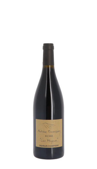 Domaine Antoine Sanzay, Les Poyeux 2022 Rouge 75cl