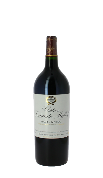 Château Sociando Mallet 2020 Rouge Magnum