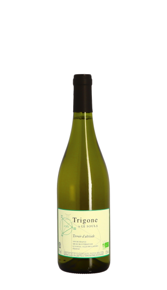 Domaine Le Soula, Trigone n°21 2021 Blanc 75cl
