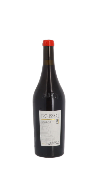 Domaine Stéphane Tissot, Trousseau en Amphore Sans Soufre 2023 Rouge 75cl