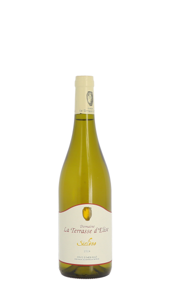 Domaine La Terrasse d'Elise, Siclène 2024 Blanc 75cl
