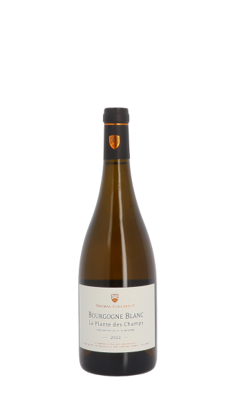 Thomas-Collardot, La Plante des Champs 2022 Blanc 75cl