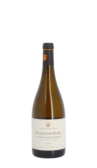 Thomas-Collardot, La Plante des Champs 2023 Blanc 75cl