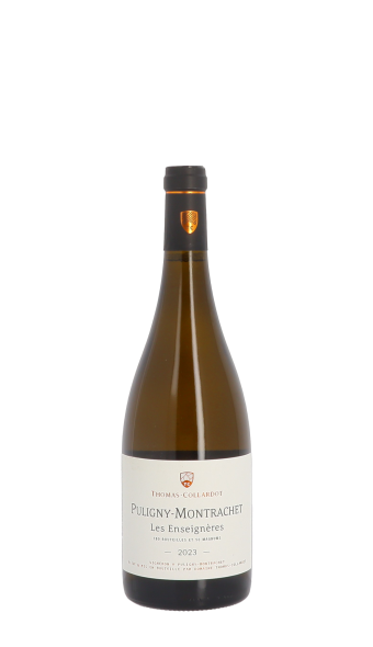 Thomas Collardot, Les Enseignères 2023 Blanc 75cl