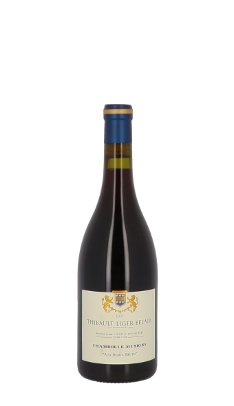 Thibault Liger-Belair, Aux Beaux Bruns 2022 Rouge 75cl