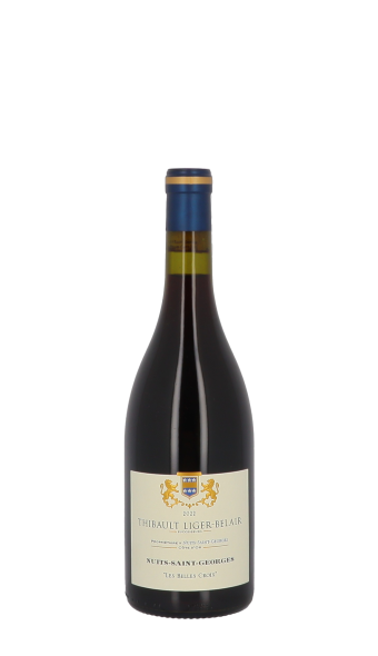 Domaine Thibault Liger-Belair, Les Belles Croix 2022 Rouge 75cl