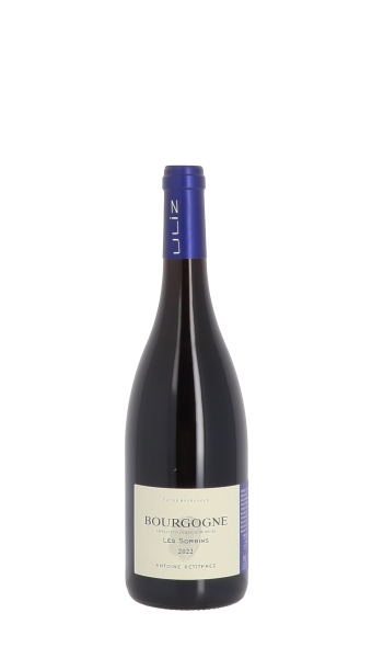Antoine Petitprez, Les Sorbins 2022 Rouge 75cl