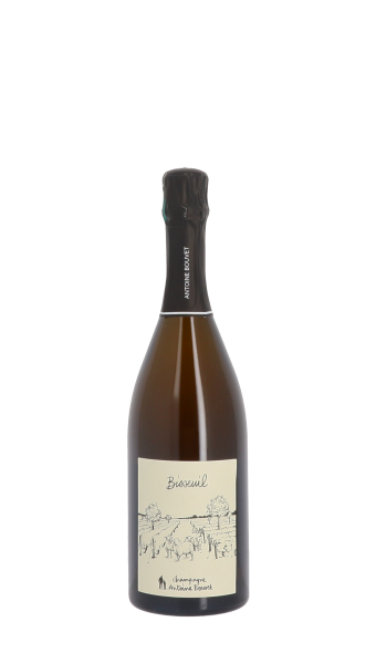 Champagne Antoine Bouvet, Bisseuil Blanc 75cl