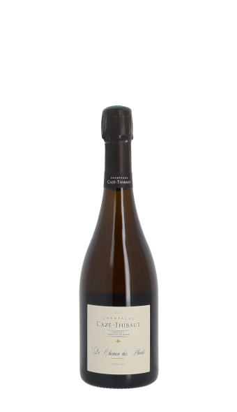 Champagne Cazé-Thibaut, Chemin des Plants 2020 Blanc 75cl